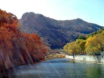 新澳门二四六天天开奖，都市风流王